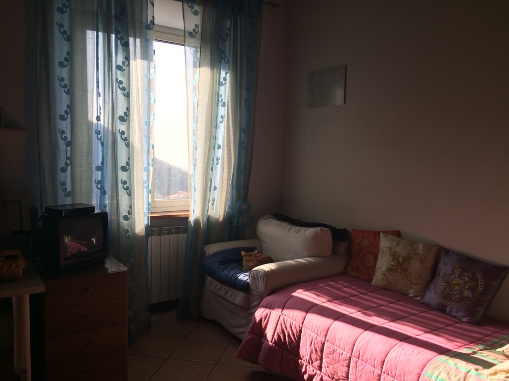 Appartamento - Pietrasanta - Capezzano Monte