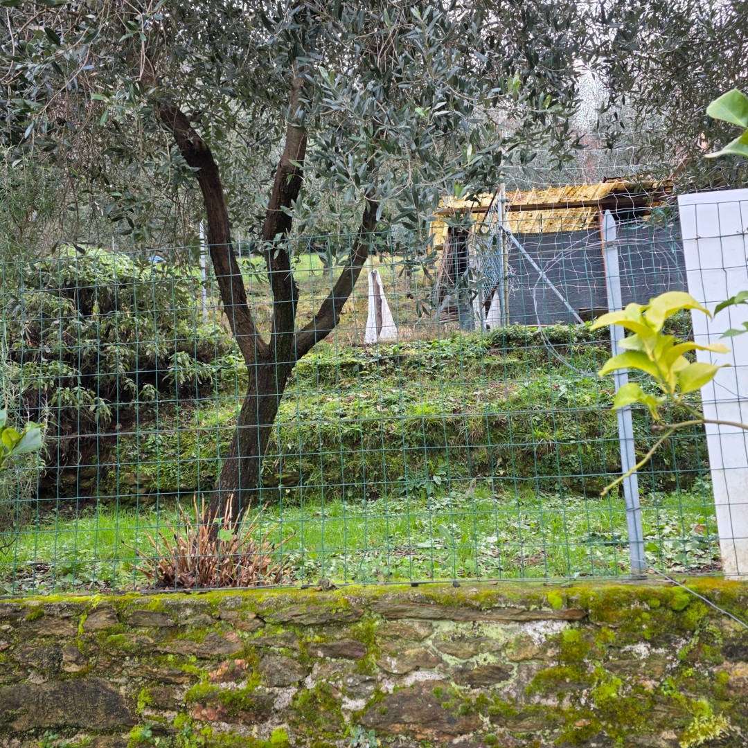 Porzione bifamiliare - Stazzema - Gallena