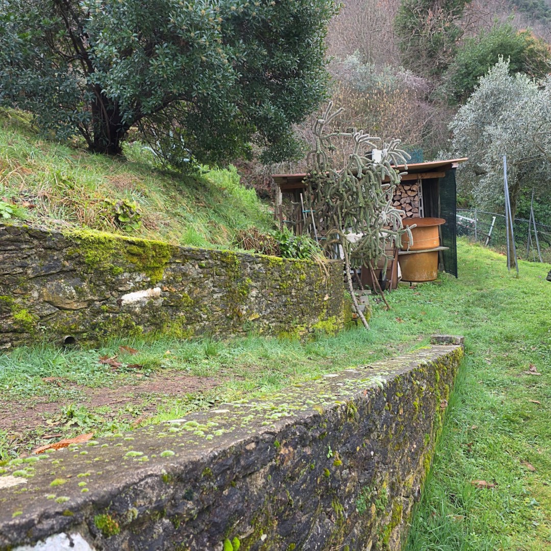 Porzione bifamiliare - Stazzema - Gallena