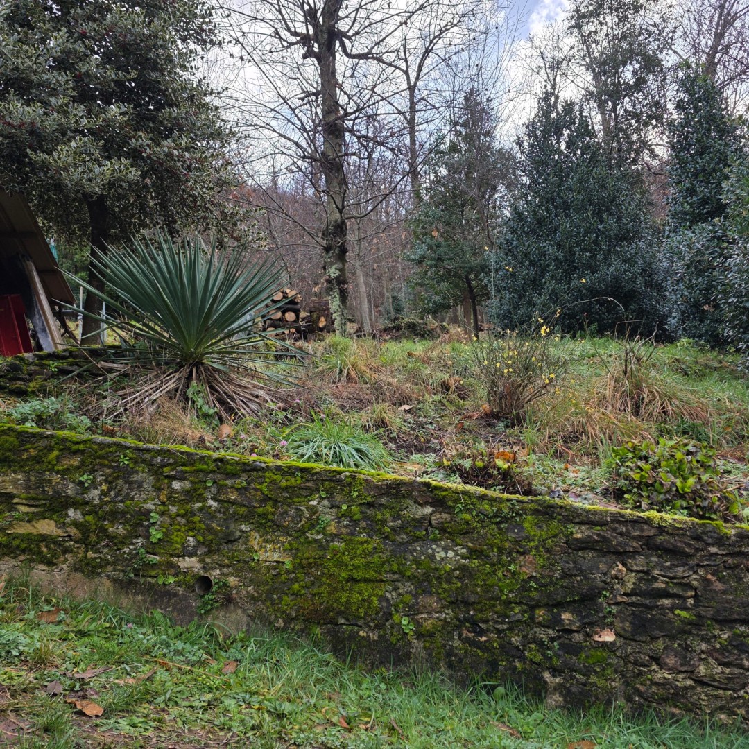 Porzione bifamiliare - Stazzema - Gallena