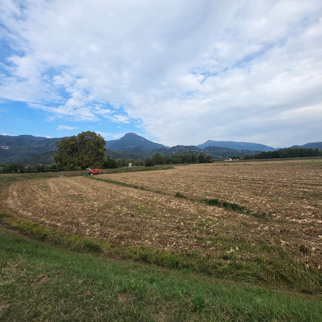 Casolare - Pietrasanta - Padule
