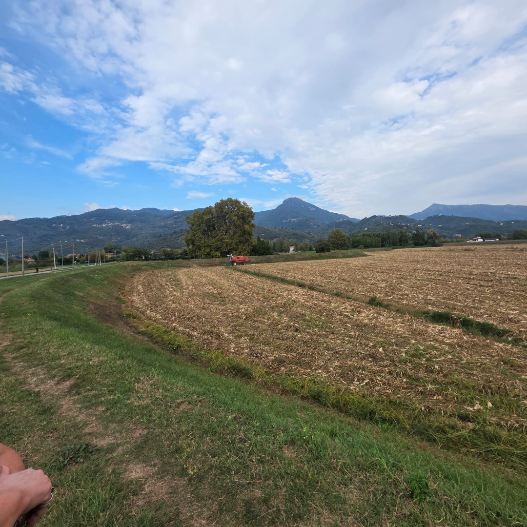Agricoli - Pietrasanta - Padule