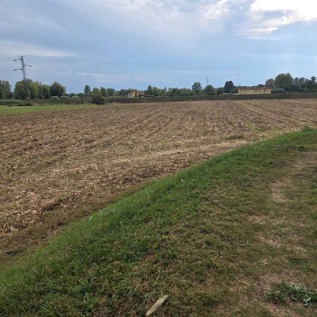 Agricoli - Pietrasanta - Padule