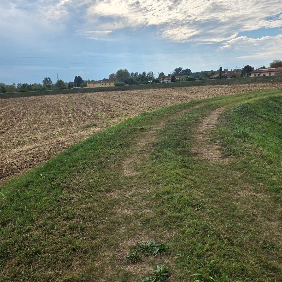 Agricoli - Pietrasanta - Padule