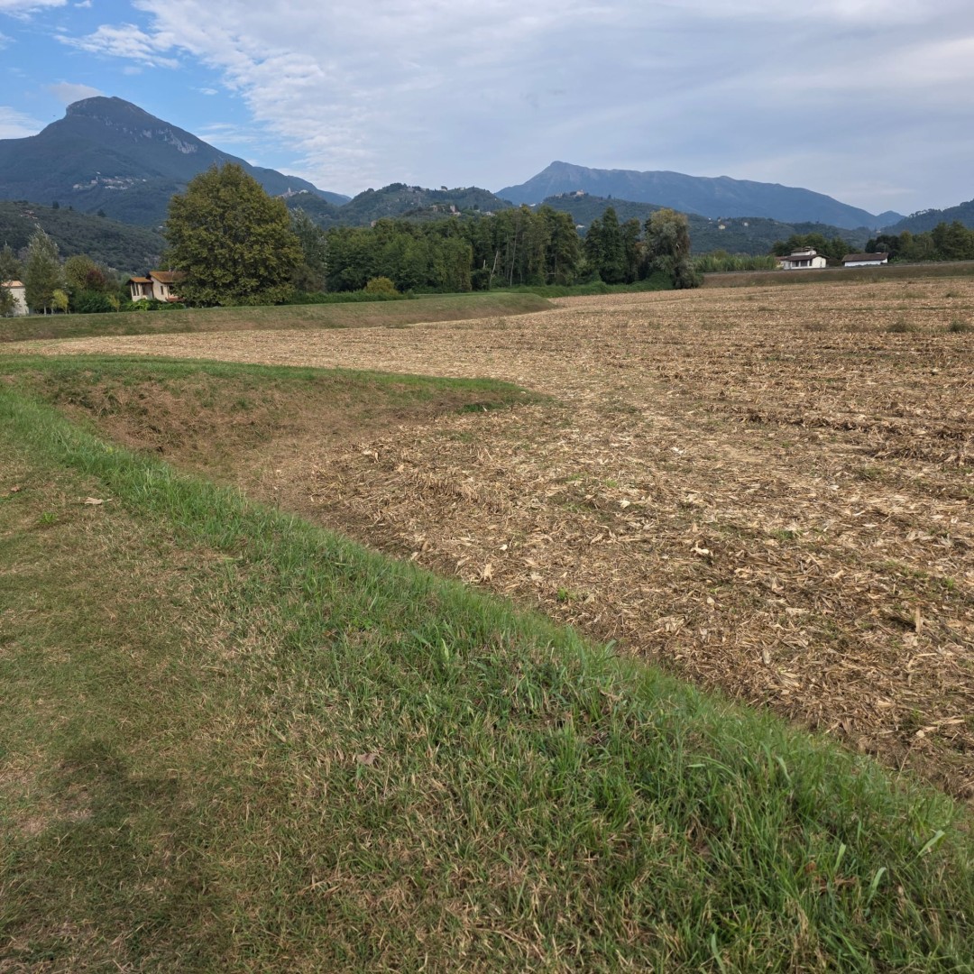 Agricoli - Pietrasanta - Padule