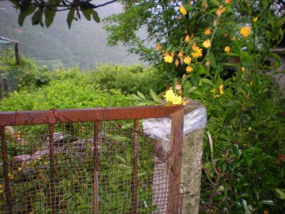 Terratetto - Stazzema - Terrinca