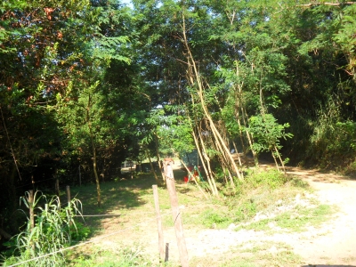Agricoli - Massarosa - Massarosa centro