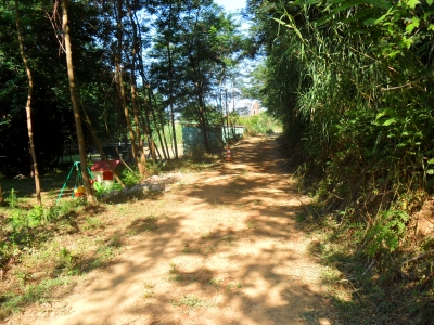 Agricoli - Massarosa - Massarosa centro