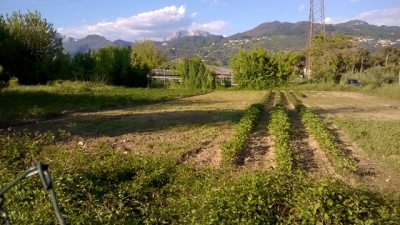 Agricoli - Pietrasanta - Fiumetto