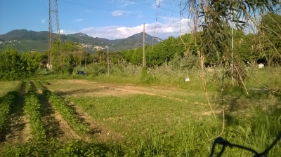 Agricoli - Pietrasanta - Fiumetto