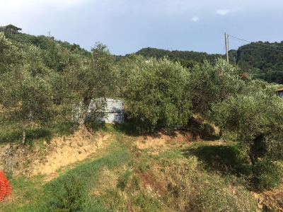 Villa a schiera - Massarosa - Quiesa