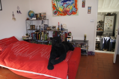 Terratetto - Seravezza - Riomagno