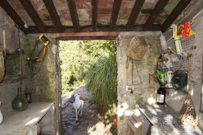 Terratetto - Seravezza - Riomagno
