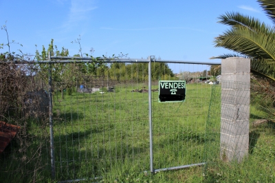 Agricoli - Camaiore - Capezzano