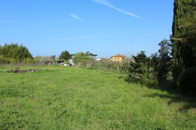 Agricoli - Camaiore - Capezzano