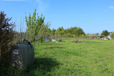 Agricoli - Camaiore - Capezzano