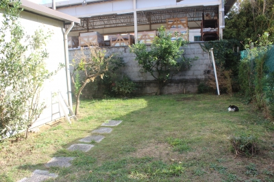 Terratetto - Pietrasanta - vallecchia vecchia