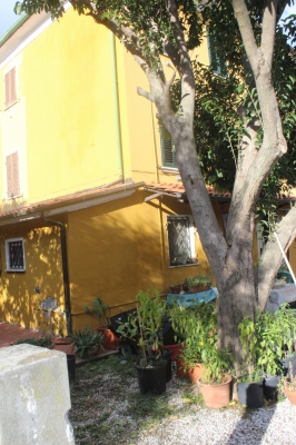 Terratetto - Pietrasanta - vallecchia vecchia