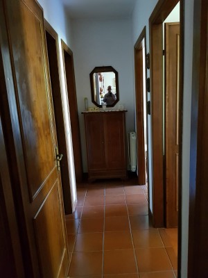 Appartamento - Pietrasanta - Traversagna