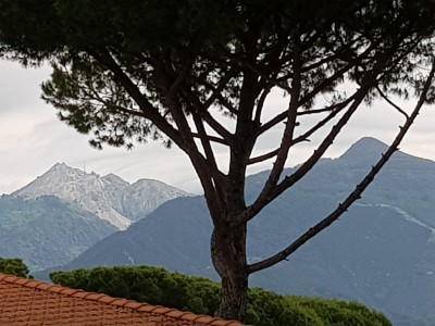 Villa - Forte Dei Marmi - Vittoria Apuana