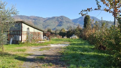 Lucca-Pietrasanta-Traversagna Terreno Edificabili