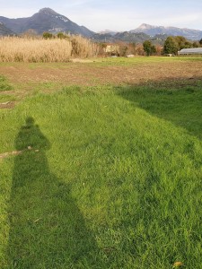 Lucca-Pietrasanta-Traversagna Terreno Agricoli