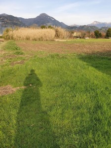 Agricoli - Pietrasanta - Traversagna