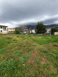 Agricoli - Pietrasanta - Montiscendi