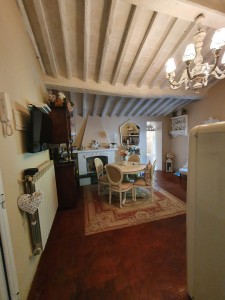 Lucca-Seravezza-Ruosina Appartamenti Appartamento