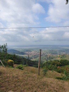 Casa - Massarosa - Montigiano