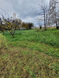 Porzione di casale - Pietrasanta - Pontestrada