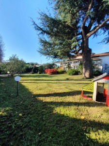 Villa - Pietrasanta - Macelli