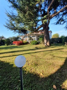 Villa - Pietrasanta - Macelli