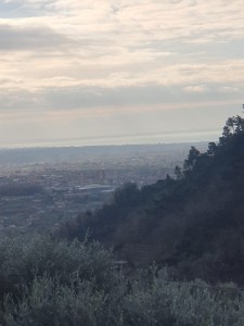 Casolare - Pietrasanta - Strettoia