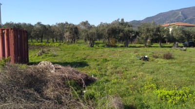 Agricoli - Seravezza - Querceta