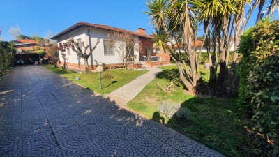 Villa - Forte Dei Marmi - Caranna