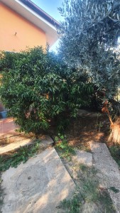 Villa - Pietrasanta - Valdicastello