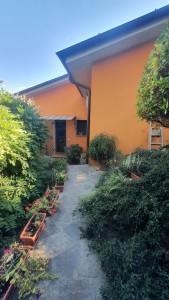 Villa - Pietrasanta - Valdicastello