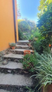 Villa - Pietrasanta - Valdicastello