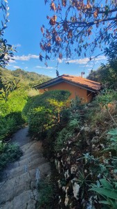 Villa - Pietrasanta - Valdicastello