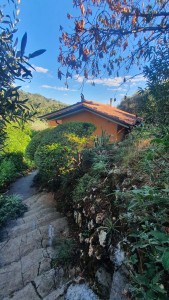 Villa - Pietrasanta - Valdicastello