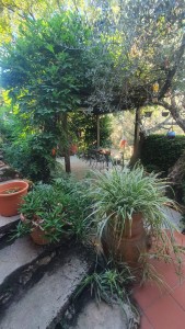 Villa - Pietrasanta - Valdicastello