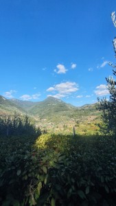 Villa - Pietrasanta - Valdicastello