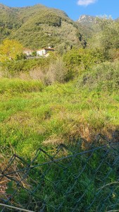 Agricoli - Pietrasanta - Valdicastello