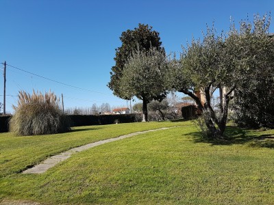 Villa - Pietrasanta - Pietrasanta sotto Aurelia