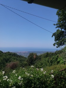 Porzione bifamiliare - Pietrasanta - Capezzano Monte