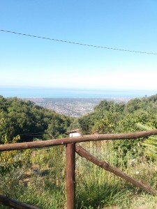 Porzione bifamiliare - Pietrasanta - Capezzano Monte