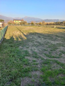 Lucca-Camaiore-Lido-Secco Terreno Agricoli
