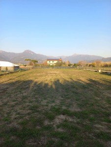 Agricoli - Camaiore - Lido-Secco