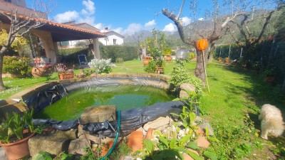 Porzione bifamiliare - Seravezza - Pozzi